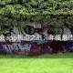 金年会app焦点之战：年度最佳候选