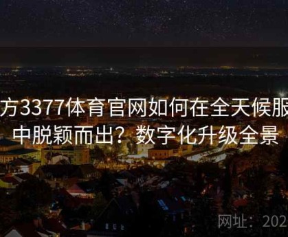 官方3377体育官网如何在全天候服务中脱颖而出？数字化升级全景