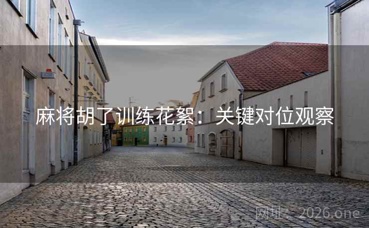 麻将胡了训练花絮：关键对位观察