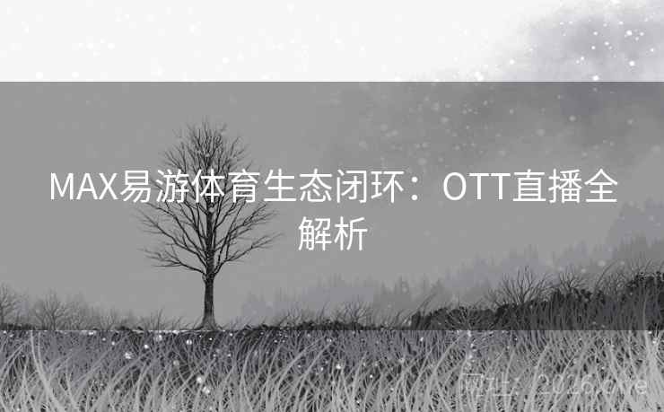 MAX易游体育生态闭环：OTT直播全解析