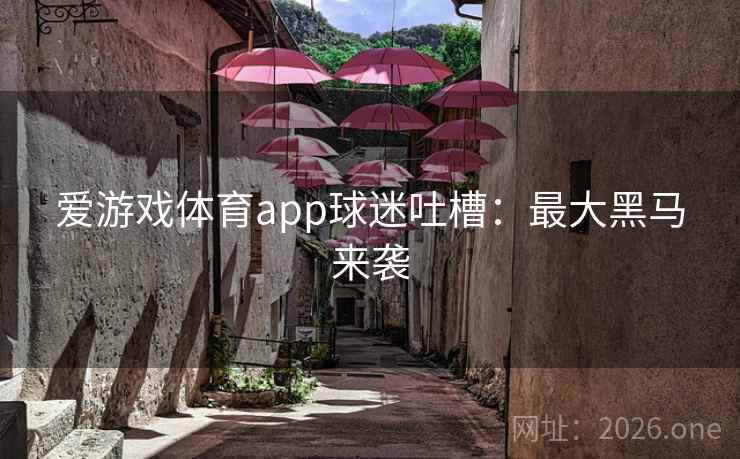 爱游戏体育app球迷吐槽：最大黑马来袭