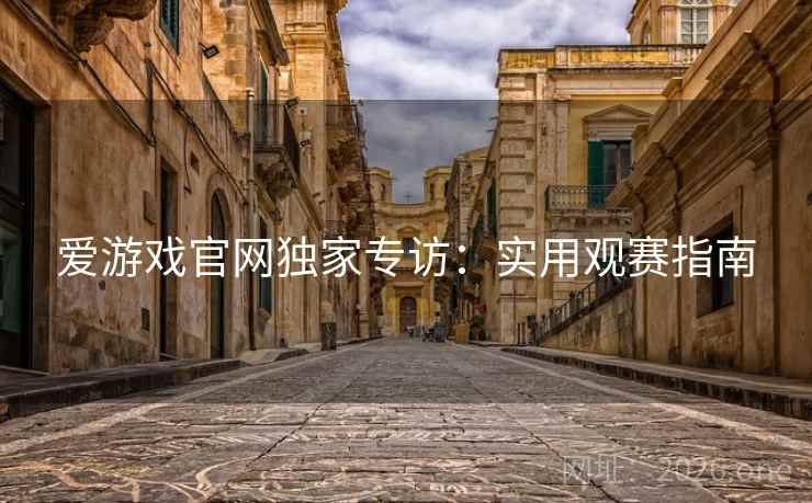爱游戏官网独家专访：实用观赛指南