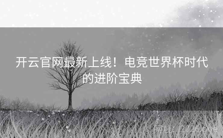 开云官网最新上线！电竞世界杯时代的进阶宝典