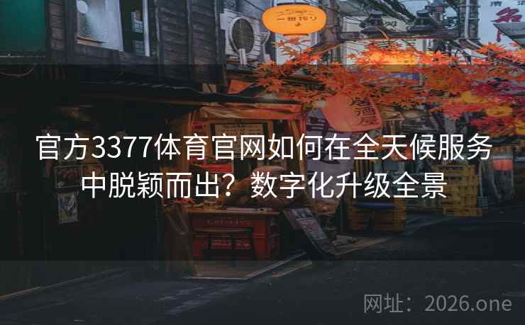 官方3377体育官网如何在全天候服务中脱颖而出？数字化升级全景