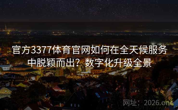 官方3377体育官网如何在全天候服务中脱颖而出？数字化升级全景