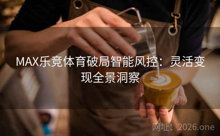 MAX乐竞体育破局智能风控:灵活变现全景洞察 MAX乐竞体育破局智能风控:灵活变现全景洞察