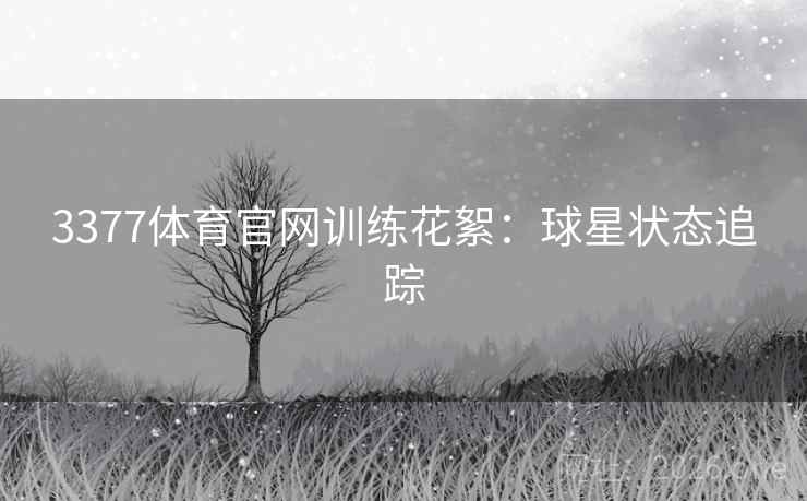 3377体育官网训练花絮：球星状态追踪